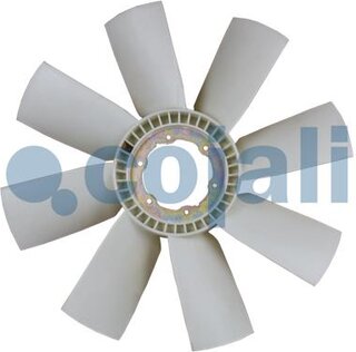 Cojali 7087119