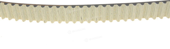 Dayco 941034