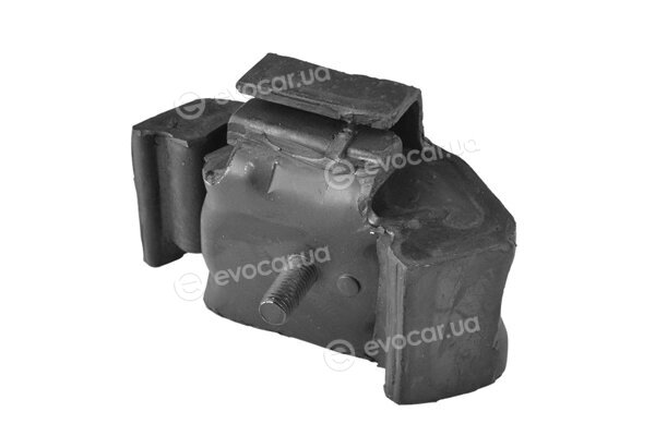 Tedgum 00162169