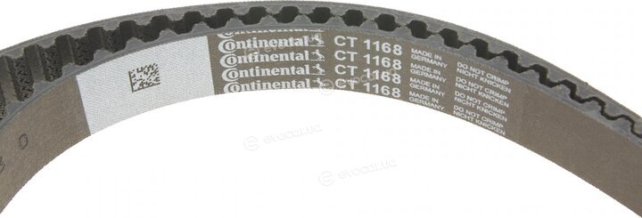 Continental CT1168WP6