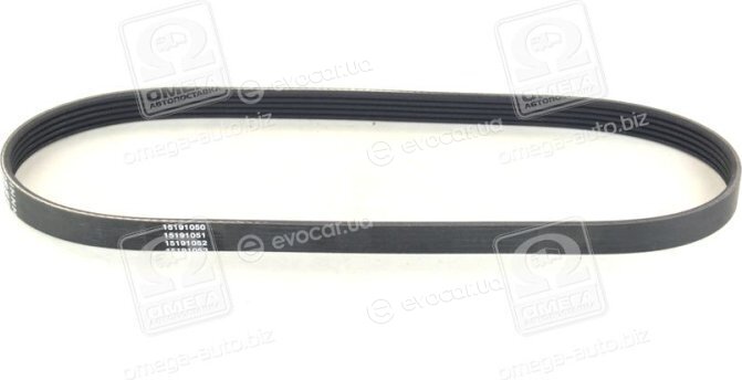 Dayco 5PK800