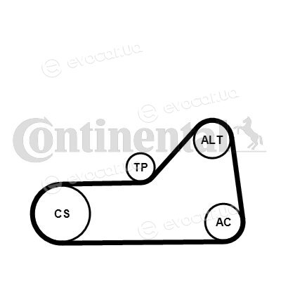 Continental 6PK1153WP1