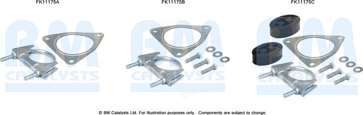 BM Catalysts FK11175