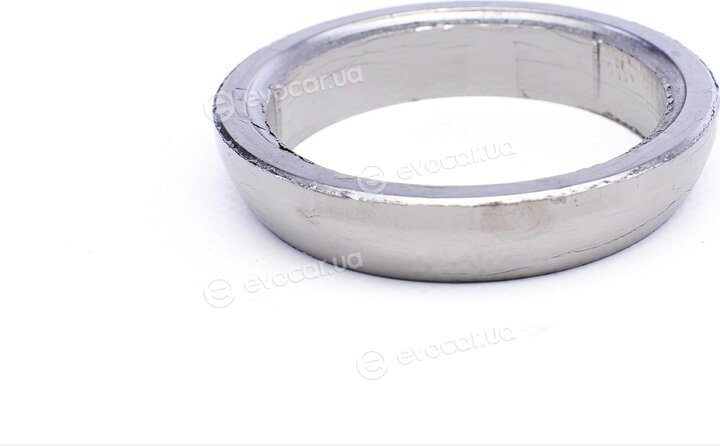 Elring 310.920