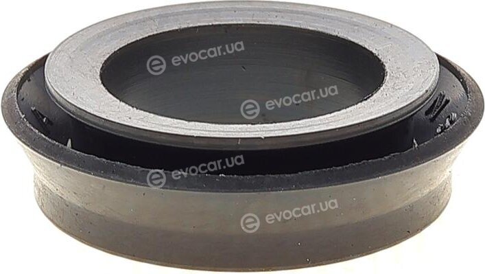 Frenkit 325025