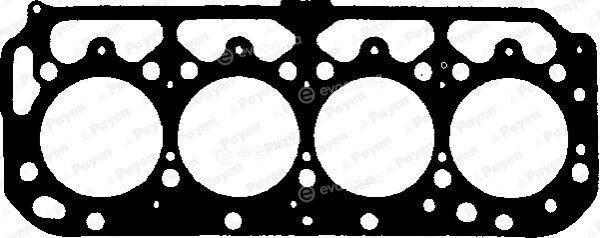 Payen BG450