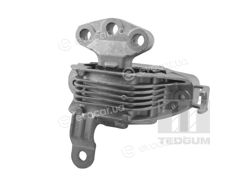 Tedgum TED86251