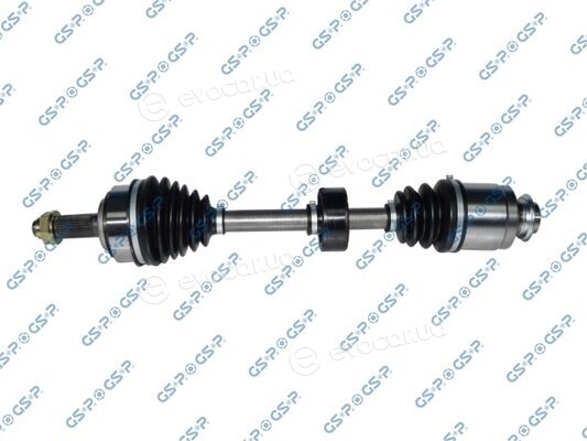 GSP 223074