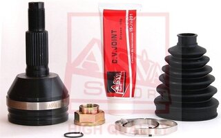 Asva DW-V200