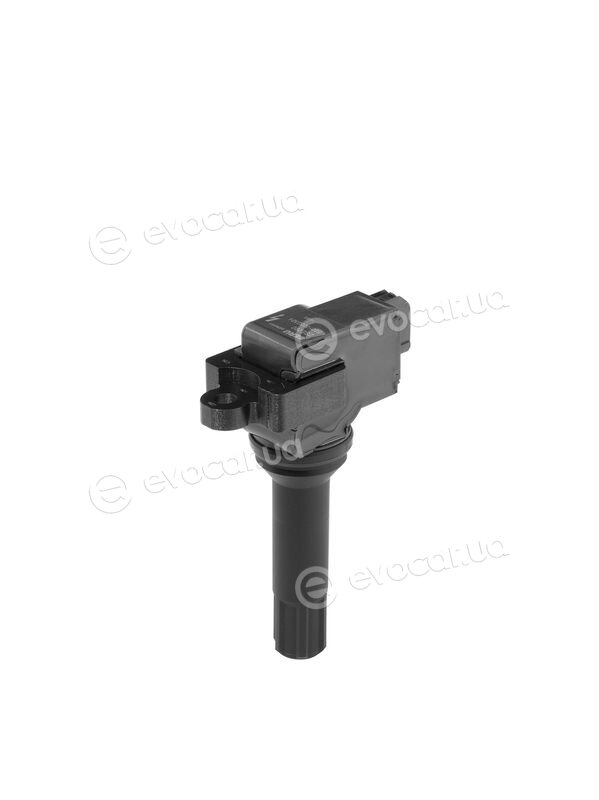 BorgWarner ZSE290
