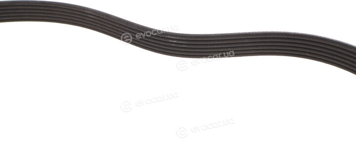 Dayco 6PK1842