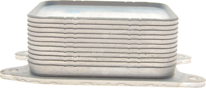 Van Wezel 58013703