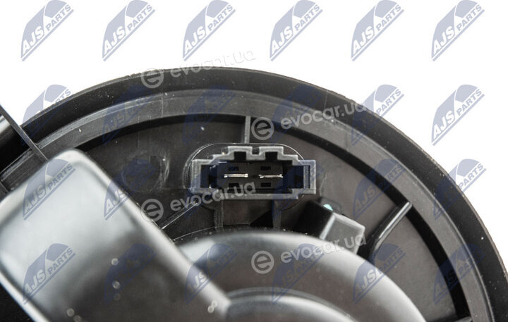 NTY EWN-VW-010
