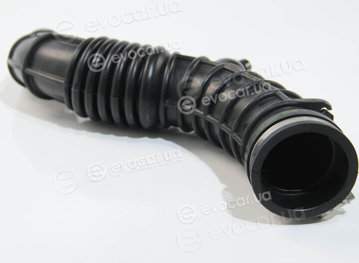 Rapro R12555