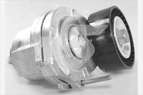 Hutchinson T0571