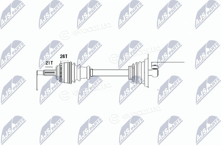 NTY NPW-RE-013
