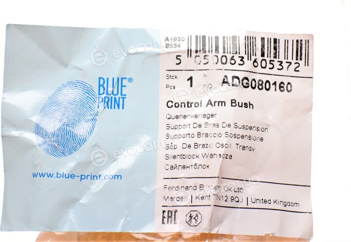 Blue Print ADG080160