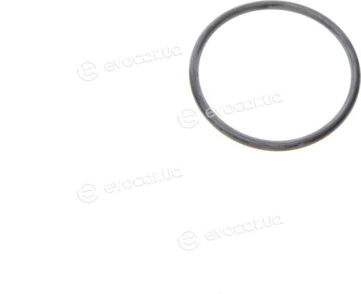 Continental CT1148WP1