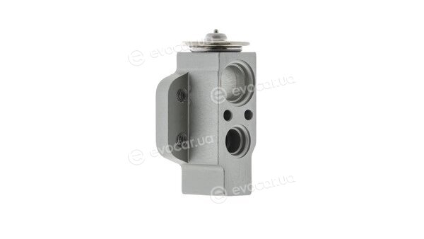 Mahle AVE 58 000P