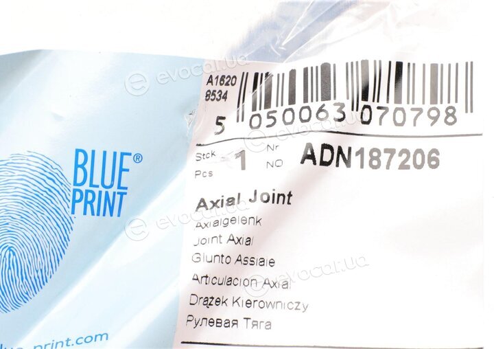 Blue Print ADN187206