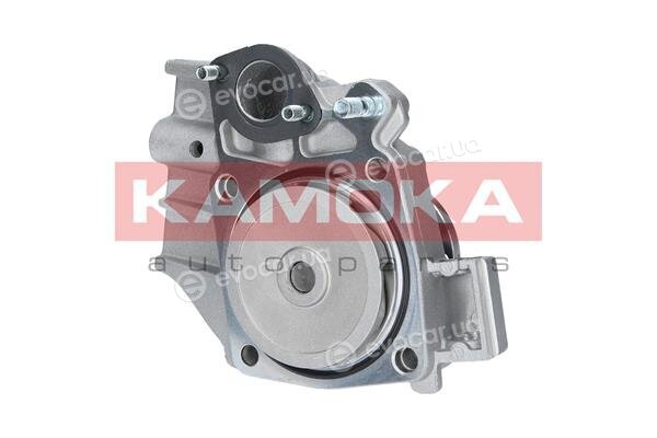 Kamoka T0098