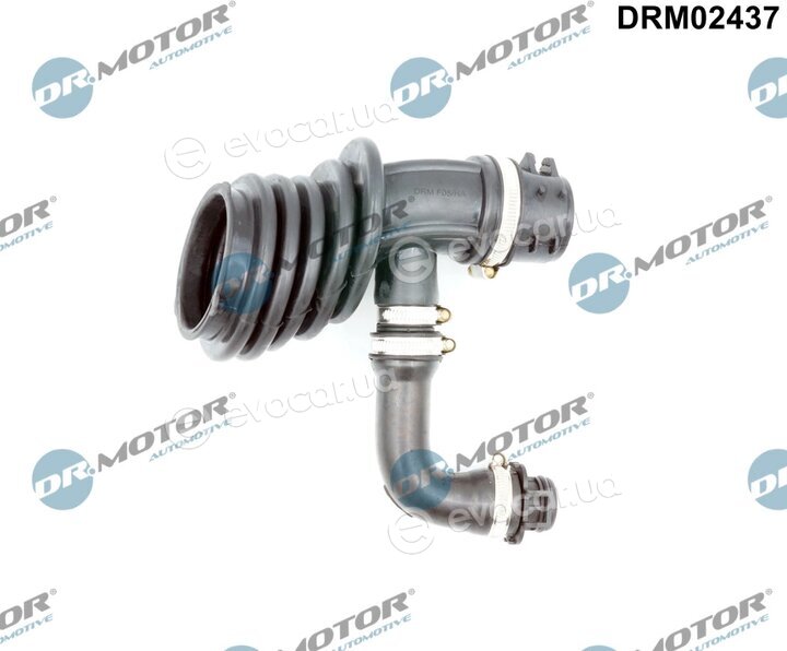Dr. Motor DRM02437