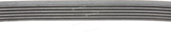 Continental 6PK1249 ELAST