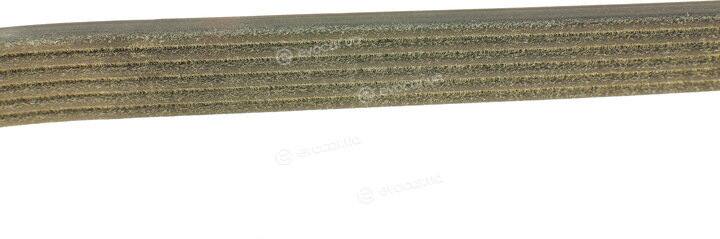 Dayco 6PK1323S