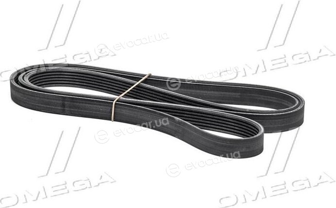 Continental 6PK2145