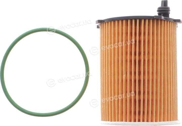 Solgy 101090