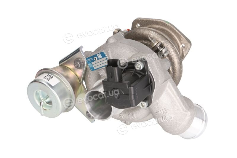 BorgWarner 53039880426