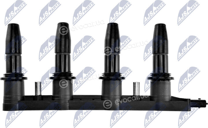 NTY ECZ-PL-007