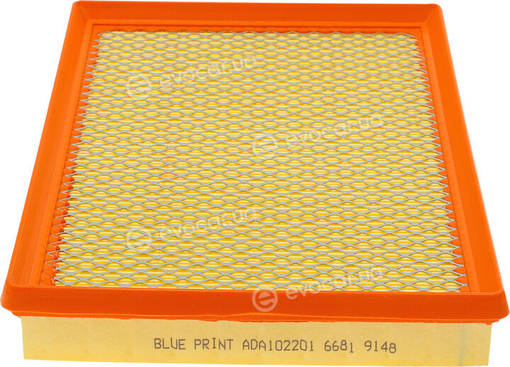 Blue Print ADA102201