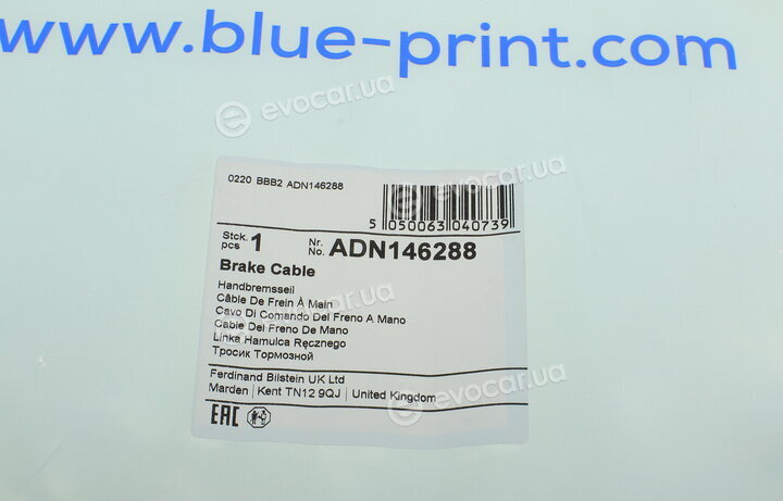 Blue Print ADN146288