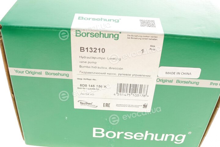 Borsehung B13210