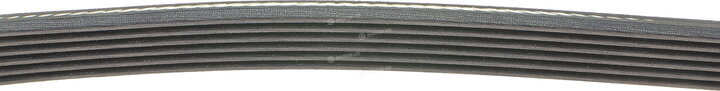 Dayco 6PK923