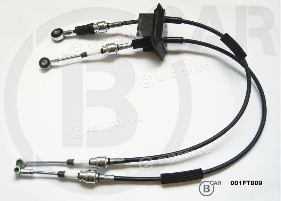 BCAR 001FT809