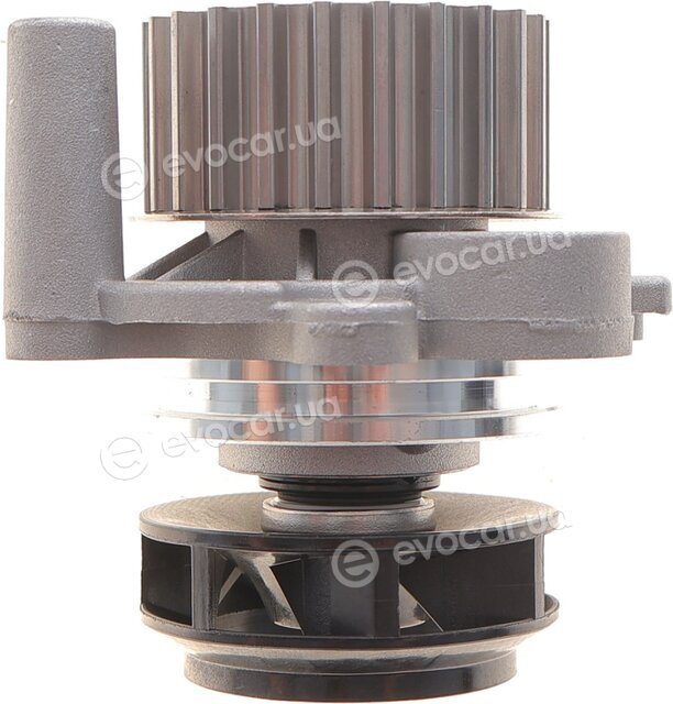 Motive TBK4988WP