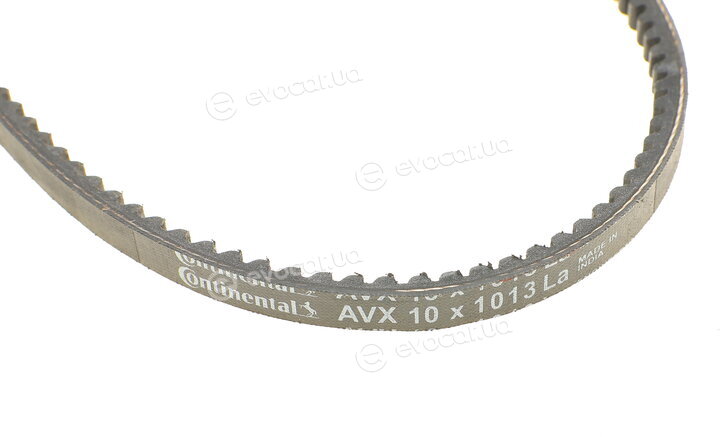 Continental AVX10X1013