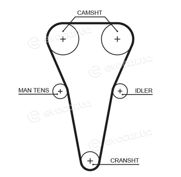 Gates K015567XS