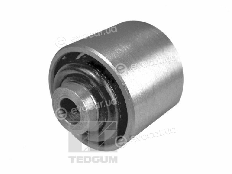 Tedgum 00026622