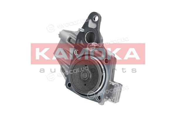 Kamoka T0238