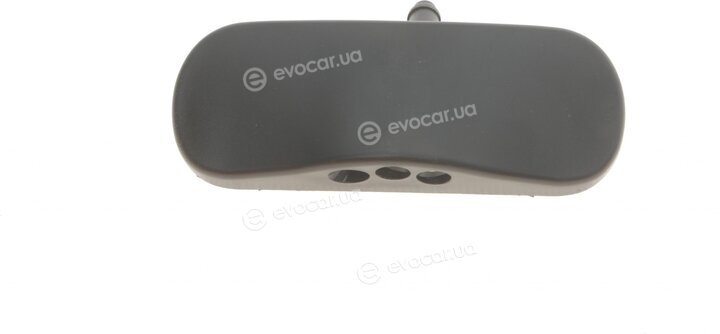 Vika 99551817501