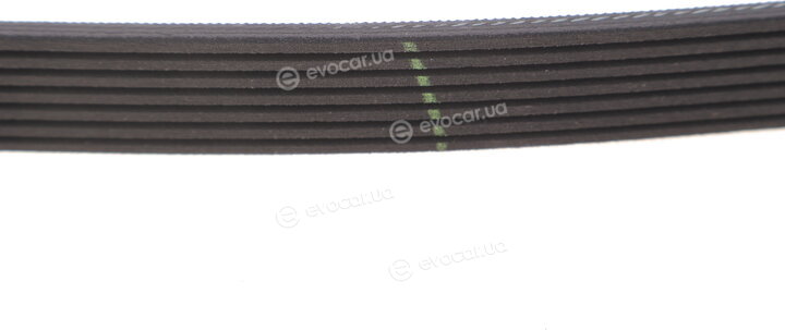 Gates 7PK1038SF