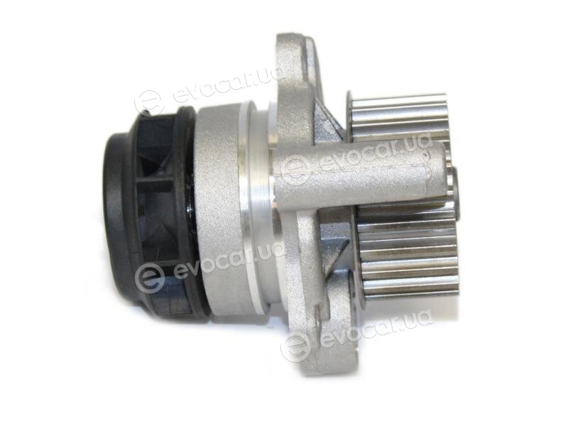 Starline VP V164