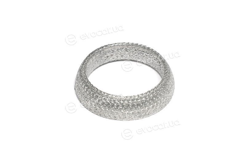 Elring 261.310