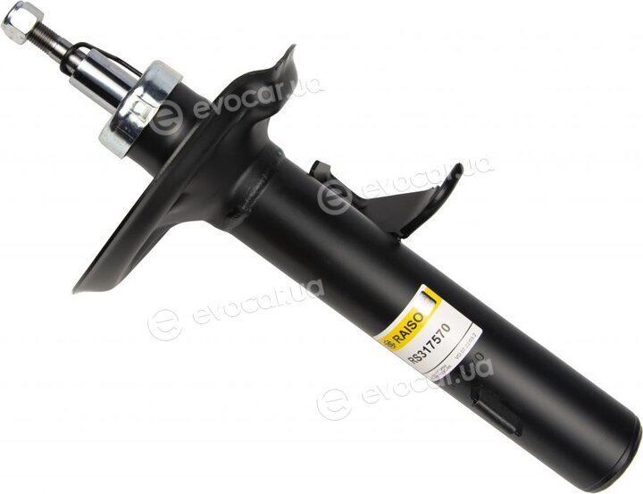 Raiso RS317570