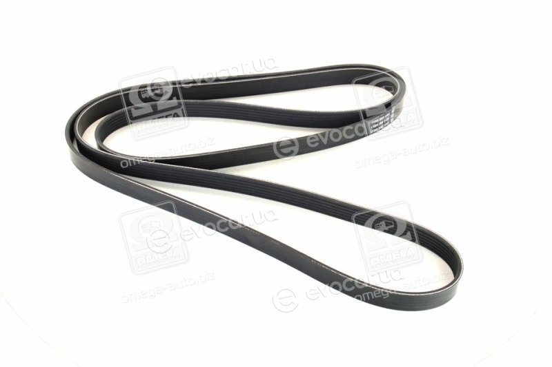 Dayco 6PK2475