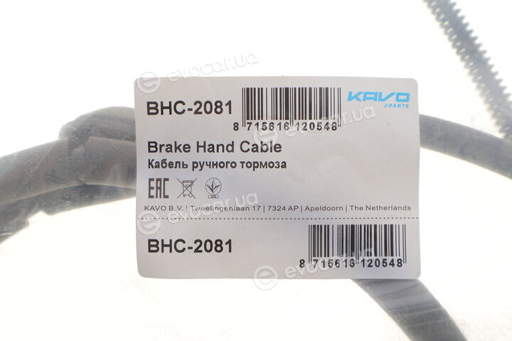 Kavo BHC-2081
