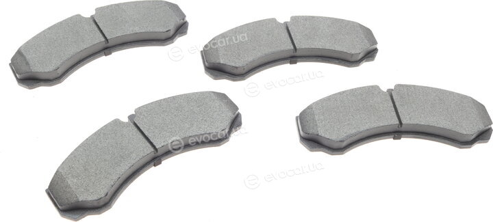 Solgy 209003